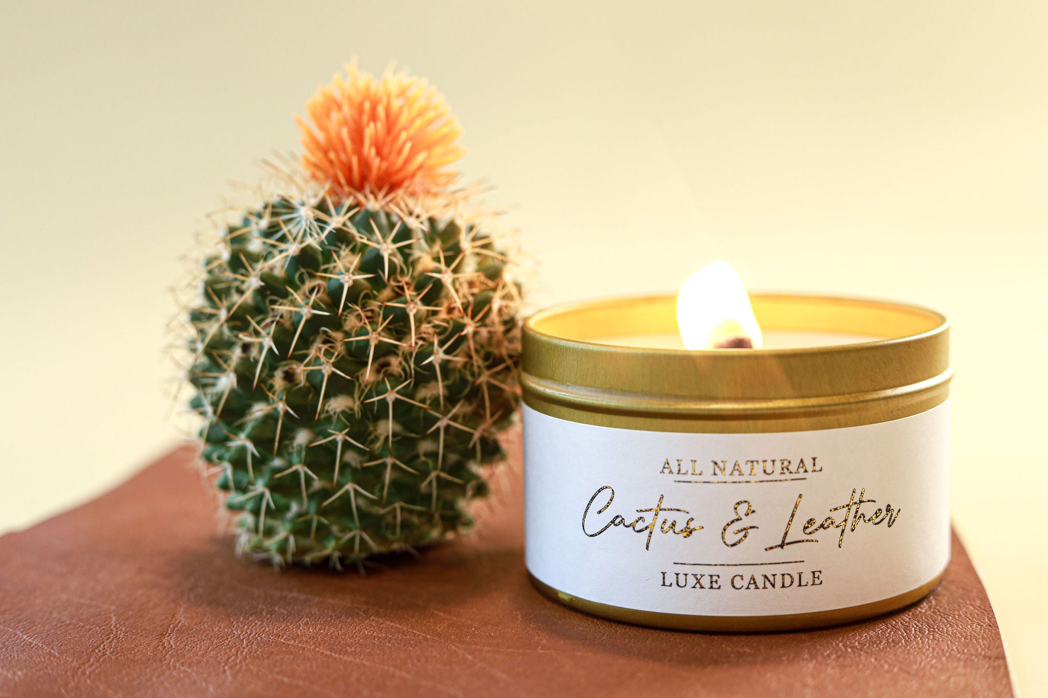 Cactus & Leather Luxe Natural Coconut Wax Candle