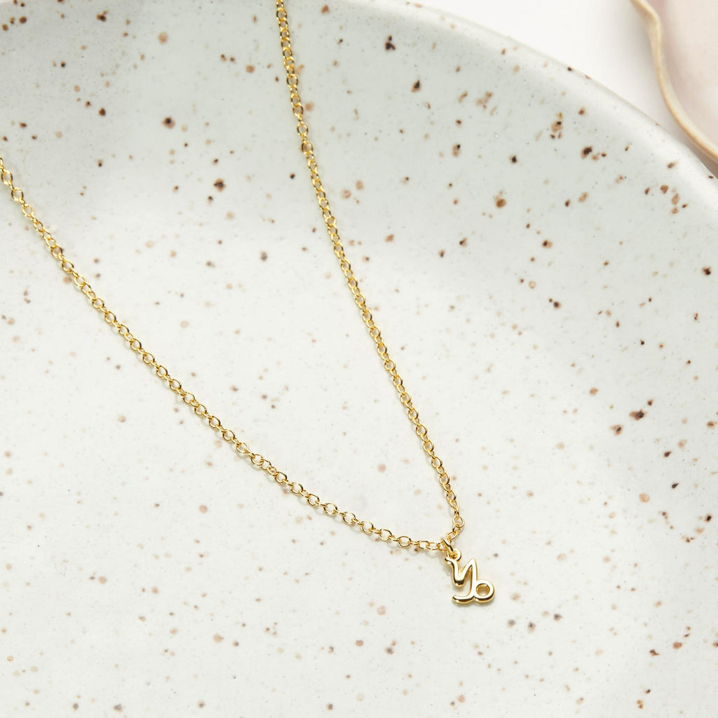 Celestial Capricorn Zodiac Necklace