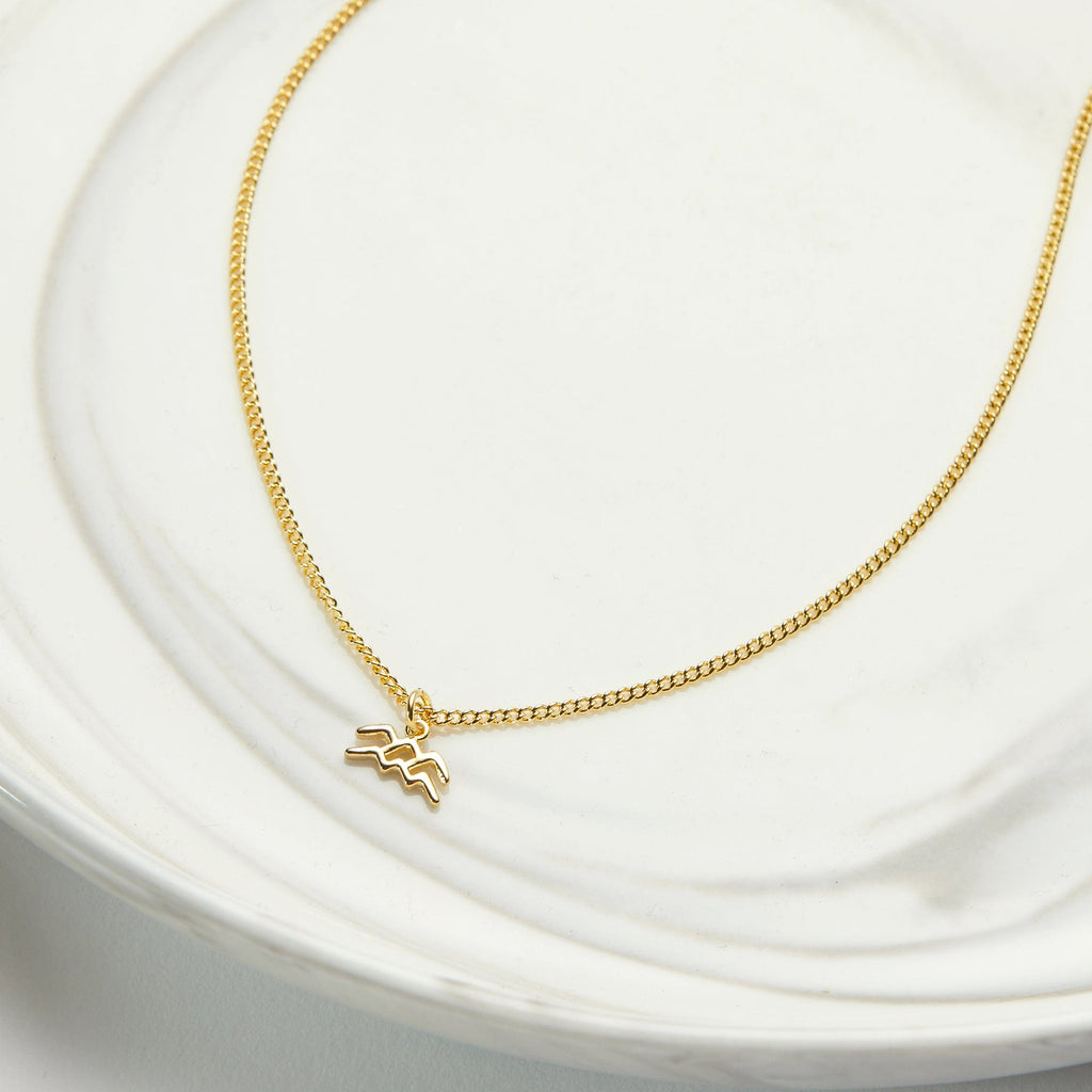 Starry Night Aquarius Zodiac Necklace