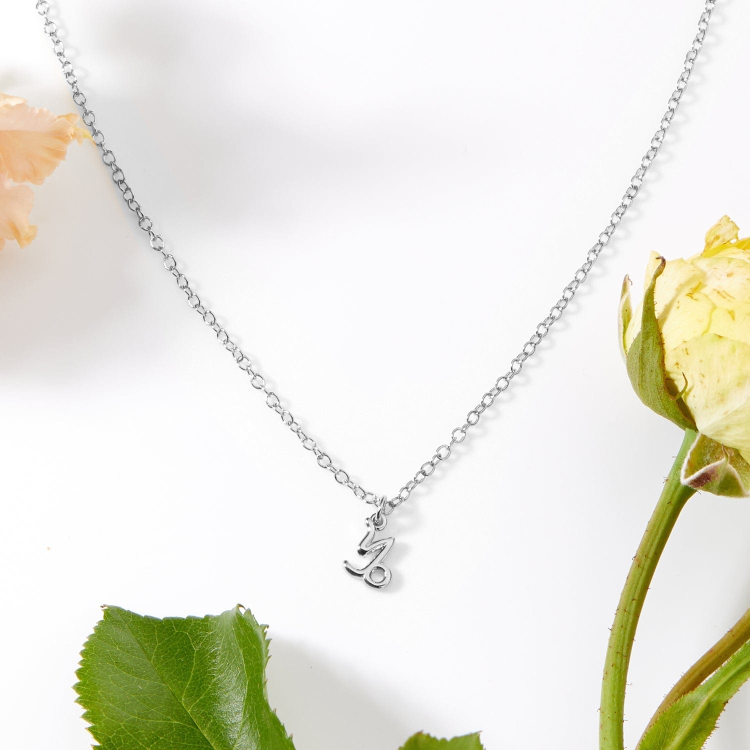 Starry Night Capricorn Zodiac Necklace
