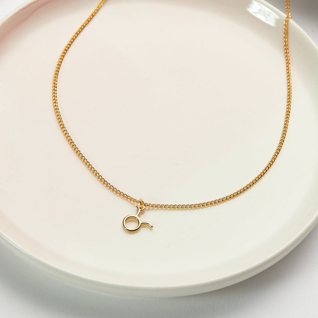 Starry Night Taurus Zodiac Necklace